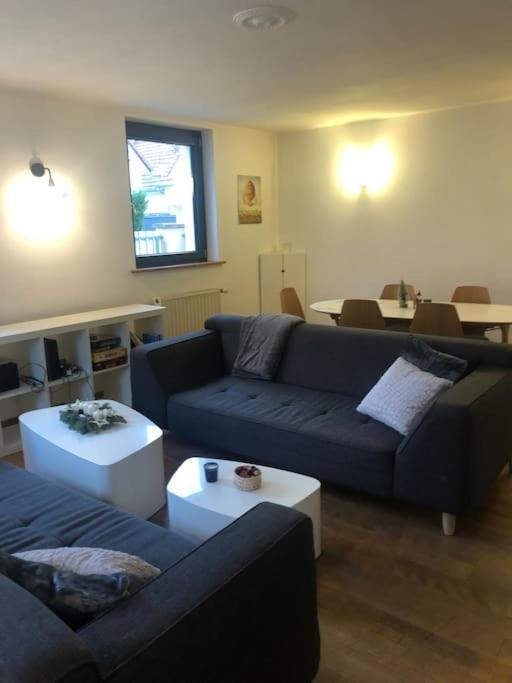 Maison De Village Pres De Colmar De 90 M2 Horbourg Экстерьер фото